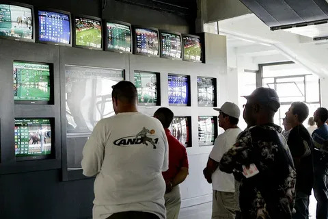 1xbet 4 apk 