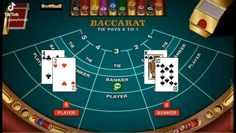 9q cassino 
