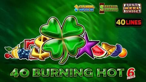 casas de apostas x 