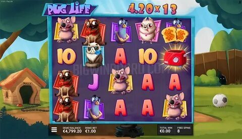 jogos de hoje ao vivo na tv 