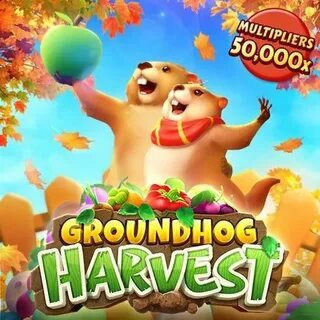 quina 6673 